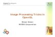 Image Processing Tricks in OpenGL - download.nvidia.com · Image Processing in Games • Image processing is increasingly important in video games • Games are becoming more like