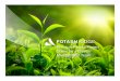 Premium Potash Project Driven by a Proven …s1.q4cdn.com/553129972/files/Presentation -January, 16...SOP MARKET CHARACTERISTICS 10 1Source: Fertecon, CRU Global SOP Consumption and