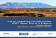 African Indigenous Peoples and the UNEP Green Economy ... · 2 Executive Summary THE UN Environment Program (UNEP) has released a report on the Green Economy Initiative (GEI), which