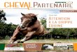 Attention à la grippe équine - Cheval Partenairecheval-partenaire.fr/wp-content/uploads/2015/11/ChevalP...Attention à la grippe équine Santé L´annuaire des écuries en gironde