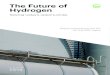 The Future of Hydrogen - Capenergies€¦ · The Future of Hydrogen Foreword PAGE | 3 Foreword This is a critical year for hydrogen. It is enjoying unprecedented momentum around the