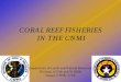 CNMI CORAL REEF FISHERIES 04' Interim CD/Day 1...are used, spear gun (mostly day time) or the Hawaiian sling (mostly night time). • Hook and Line All types of hook and line except