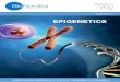 EPIGENETICS - BioNordika · 2019-09-11 · Epigenetics is the study of heritable changes in gene ex-pression that are not encoded in the DNA of the genome. Encouraging evidence has