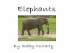 A new bookThis is my elephant popplet. Families Elephants live in families of four to ten females and their young. The mother takes care of the babies and sometimes other moms do too
