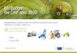 EU Budget: the CAP after 2020 - BirdLife International Agriculture and Rural Development â€¢ THE CAP