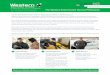 OUR INTEGRATED PEST MANAGEMENT APPROACH - Western Exterminator€¦ · Because of these things, your Western Exterminator Pest Specialist is on constant watch for factors that could