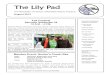 The Lily Pad - Reinstein Woods Nature Preservereinsteinwoods.org/.../05/August-2013-newsletter.pdf · In June, Reinstein Woods held a youth fly-fishing clinic with the Federation