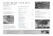 stonexus · 2019-03-15 · mag-a-zine (mag-úh-zeen), n. 1. A periodical containing a collection of articles, stories, pictures, or other features Printed and published in the USA