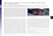 Life-history change in disease-ravaged Tasmanian devil populations · Life-history change in disease-ravaged Tasmanian devil populations Menna E. Jones*†‡§, Andrew Cockburn†,