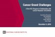 Cancer Grand Challenges A New NCI Program in ...World’s largest independent cancer research charity £413 million ($531 million), financial year 2017-18 Mission to promote public