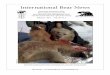 International Bear News4 International Bear News February 2011, vol. 20 no. 1 Council News The new Council is ready to tackle many new issues. Keep in mind this is your council so