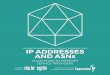 GUIDES FOR UNDERSTANDING INTERNET INFRASTRUCTURE IP ... · on the IP addresses assigned by the transit provider and the routing policies they use. Not being an autonomous system and