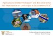 Agricultural Biotechnology in the Bio-economy: the ... · • South Africa cultivates, imports and exports genetically modified maize, cotton and soybean crops (mostly herbicide tolerant