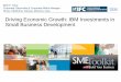Driving Economic Growth: IBM Investments in Small Business … · 2017-11-01 · IBM’s Role? IBM’s objective is to provide economic growth and job generation through small business