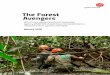The Forest Avengers - Global Witness The Forest Avengers Why Peru s pioneering forest inspection agency