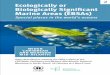 2 Ecologically or Biologically Significant Marine Areas (EBSAs) - CBD · 2019-06-20 · FoREWoRD A ctivities related to ecologically or biologically significant marine areas (or EBSAs)