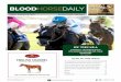 FRIDAY, AUGUST 18, 2017 BLOODHORSE.COM/DAILY Mucho …cdn.bloodhorse.com/daily-app/pdfs/BloodHorseDaily-20170818.pdf · 8/18/2017  · a second-place finish to multiple grade 1 winner
