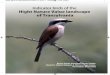 Indicator birds of the Hight Nature Value landscape of Transylvania · 2018-03-12 · of birds - the hobby and kestrel, who lay their eggs in the nests of the hooded crow or magpie,