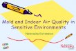Molds & Indoor Air Quality · Indoor Air Quality (IAQ) Air quality can be affected by many compounds and organisms Molds and other indoor air pollutants can have negative effects