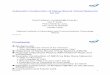 Automatic Construction of Name-Bound Virtual Networks for IoTnv/NV2017-11 Fujikawa (NICT).pdf · Pedro Martinez-Julia, Abu Hena Al Muktadir Hiroaki Harai National Institute of Information