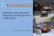 Chlorides, Environmental Regulation & Management in NE Illinois - APWA Iowaiowa.apwa.net/content/chapters/iowa.apwa.net/file/2014 Spring... · •Prairie Rivers Network •RJN Group,