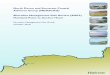 North Devon and Somerset Coastal Advisory Group (NDASCAG) Shoreline Management … · 2020-06-17 · coastal planning and management. These policies require local planning authorities