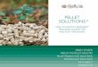Firefly Pellet Solutions Ver4.1 EN WEBBfirefly.se/...Pellet-Solutions_Ver4.2_EN_WEBB.pdf · Protection of mill with plenum Spot protection of mill. POWER PLANT SOLUTIONS ... Layers