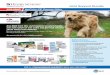 Joint Support Bundle - Amazon Web Servicesvetfolio.s3.amazonaws.com/c4/4b/2d8fcfd8416183ec1c1ab5b6... · 2018-10-04 · NSAIDS (& Beyond): Old Dogs, New Tricks 5. Eggshell Membrane