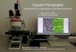 Organic Petrography - gfz-potsdam.de · Organic Petrography Determination of organofacies and thermal maturity Hans-Martin Schulz 3.2 Organic Geochemistry Microscope LEICA DM 4 P-Mikroskop,