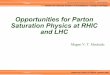 Opportunities for Parton Saturation Physics at RHIC · In processes that are sensitive to the small-x part of the hadron wavefunction Q2 2 2 2 Q Q + = W xBj W 2 with HERA and RHIC: