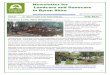 Newsletter for Landcare and Dunecare€¦ · Regeneration Team) and Nature Ally Bush Regeneration. Marshalls Creek is an important nursery area for many fish species and has areas