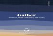 Gather - TravelClick Web CMS · Daydream Island There are 2 airports that service the region, both serviced by major airlines including Virgin, Qantas and Jetstar. Hamilton Island