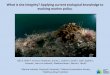 Home - South West Marine Ecosystems - What is …swmecosystems.co.uk/wp-content/uploads/2016/02/17.-Sian...2016/02/17  · Securing the benefits Linking ecology with marine planning