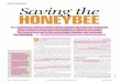 Saving the Honeybeemichael-oso-apes.weebly.com/uploads/1/9/2/.../saving_the_honeybee… · our beekeeping and agricultural practices. Even before colony collapse, honeybees had suffered