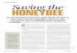 Saving the Honeybeeogoapes.weebly.com/.../3239894/saving_the_honeybee.pdf · our beekeeping and agricultural practices. Even before colony collapse, honeybees had suffered from a