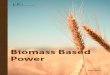 Biomass Based Power - consult.eai.in · Biomass Based Power . 12. Careers in Alternative Energy 12.1 Introduction 12.2 Alternative and Renewable Energy Jobs FAQ ... mechanical and
