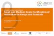 Affordable Nutritious Food for Women Small and Medium ... · Small and Medium Scale Fortification of maize flour in Kenya and Tanzania Dr. Nicola Martin & Joshua Mokaya, GIZ ... cation