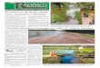 Redwater, Alberta June 17, 2020 Six inches of rain floods streets, …cowleynewspapers.com/pdf/review/TheReview_June_17.pdf · 2020-06-16 · Vol. 29 No. 31 Redwater, Alberta June