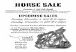 GORDON LIVESTOCK HORSE SALE FLYER …cdn.dvauction.com/ac4/companies/2/domains/2437/events/...GORDON LIVESTOCK HORSE SALE FLYER NOVEMBER 3 AND DECEMBER 17.pub Author Manna Created