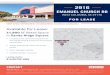 SHOP SPACE OPPORTUNITY IN CAYCE/WEST ......EMANUEL CHURCH RD WEST COLUMBIA, SC 29170 LEASE RATE: $14.00 PSF NNN SANDY RIDGE SQUARE 1 602 302 TRINITY PARTNERS | 1556 MAIN STREET, SUITE