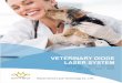 VETERINARY DIODE LASER SYSTEM · 2019-09-06 · Dimed veterinary lasers can be effortlessly used by veterinarians to perform laser treatments for a wide variety of small and big animals,