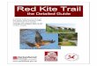 Red Kite Trail - Gateshead Council Red kites disappeared across much of the UK because of human persecution