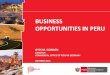 BUSINESS OPPORTUNITIES IN PERU · 2016-09-21 · OPPORTUNITIES IN PERU GYCS M. GORDON DIRECTOR COMMERCIAL OFFICE OF PERU IN GERMANY ... Friendly investment environment 3. Open trade