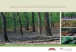 A FOREST M ANAGER’S GUIDE TO Restoring Late-Successional ... · 2005), a set of management recommendations compatible with traditional forest man agement and scaled to NIPF ownerships