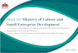 Head 30: Ministry of Labour and Small Enterprise …of Labour and Small Enterprise Development for the fiscal year 2016/2017:4 “In fiscal year 2016/2017, the Ministry proposes to