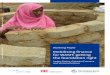 Mobilising finance for WASH: getting the foundation 2019-07-30آ  2 Working Paper Mobilising finance