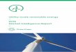 Utility-scale renewable energy 2019 Market Intelligence Report · IPPO presentation to the Parliamentary Portfolio Committee on Energy (PCE) on 6 March 2018. expedited rounds coming