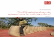 The G20 agricultural agenda: an opportunity for world ... · the G20 has met twice a year, in London and Pittsburgh in 2009, then in Toronto and Seoul in 2010. Now, the presidencies