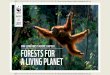 WWF LIVING FORESTS REPORT: CHAPTER 1 FORESTS FOR A … · 2020-05-29 · forests would need to be offset by an equivalent area of socially and environmentally sound forest . In this