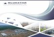 Engineering | Procurement | Construction Management · Who We Are Bluestar Engineering Ltd. is a Calgary-based Engineering, Procurement, and Construction Management (EPCM) company,